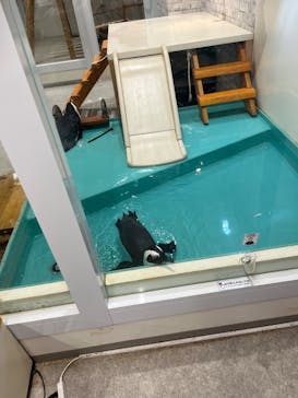 アニタッチ 東京ドームシティに投稿された画像（2025/5/27）