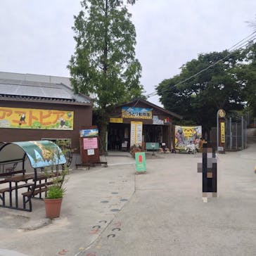 しろとり動物園に投稿された画像（2025/5/27）