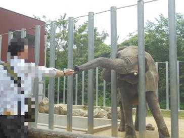 しろとり動物園に投稿された画像（2025/5/27）