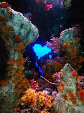 サンシャイン水族館に投稿された画像（2025/5/27）