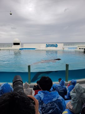 鴨川シーワールドに投稿された画像（2025/5/27）