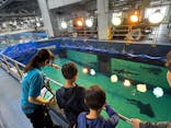 沖縄美ら海水族館に投稿された画像（2025/5/28）