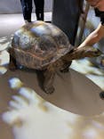 AQUARIUM × ART　atoaに投稿された画像（2025/5/28）