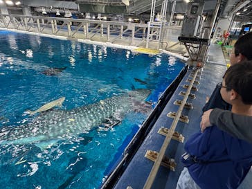 沖縄美ら海水族館（館内体験）に投稿された画像（2025/5/27）