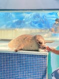 下田海中水族館に投稿された画像（2025/5/28）