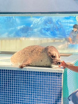 下田海中水族館に投稿された画像（2025/5/27）