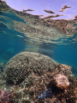 SUNSHINE MARIN 宮古島に投稿された画像（2025/5/27）