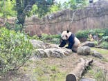 恩賜上野動物園に投稿された画像（2025/5/28）