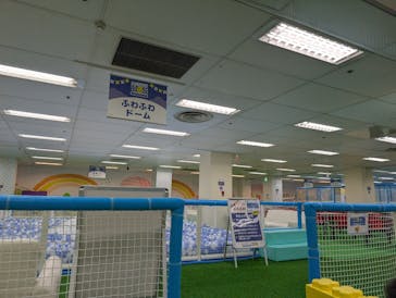 キッズランドUS 兵庫伊丹店に投稿された画像（2025/5/28）