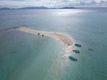 シメラギに投稿された画像（2025/5/28）