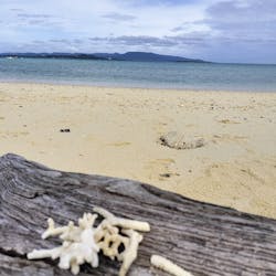 シメラギに投稿された画像（2025/5/28）