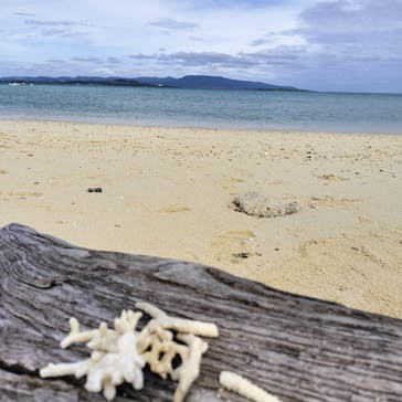 シメラギに投稿された画像（2025/5/28）