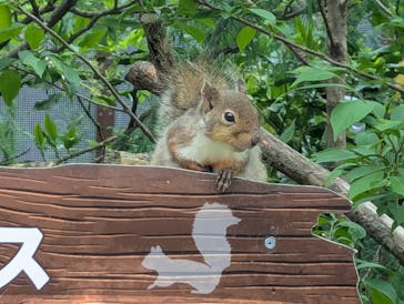 那須どうぶつ王国に投稿された画像（2025/5/28）