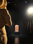 MYSTERY OF TUTANKHAMEN 体感型古代エジプト展に投稿された画像（2025/5/28）