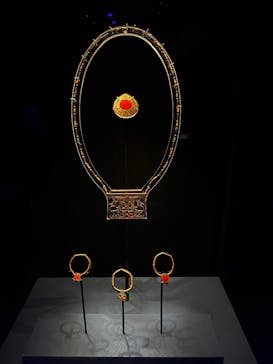 ACN ラムセス大王展 ファラオたちの黄金に投稿された画像（2025/5/28）