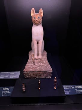 ACN ラムセス大王展 ファラオたちの黄金に投稿された画像（2025/5/28）