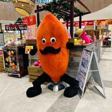 らぽっぽ なめがたファーマーズヴィレッジに投稿された画像（2025/5/28）