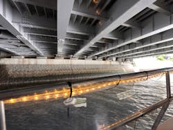 那珂川リバークルーズに投稿された画像（2025/5/28）