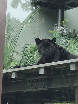 名古屋市東山動植物園に投稿された画像（2025/5/28）