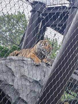 名古屋市東山動植物園に投稿された画像（2025/5/28）