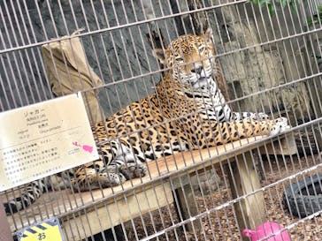 名古屋市東山動植物園に投稿された画像（2025/5/28）