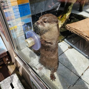 下田海中水族館に投稿された画像（2025/5/28）