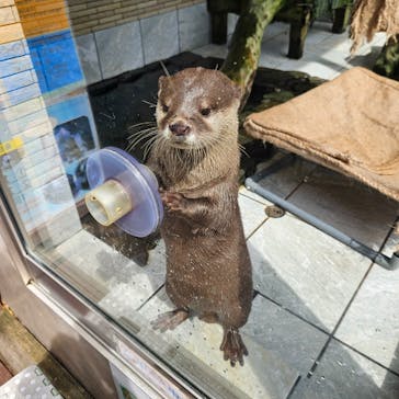 下田海中水族館に投稿された画像（2025/5/28）