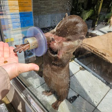 下田海中水族館に投稿された画像（2025/5/28）