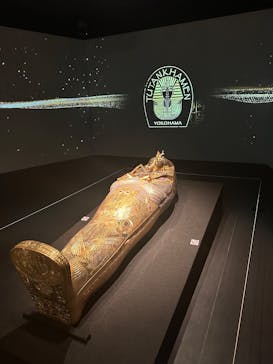 MYSTERY OF TUTANKHAMEN 体感型古代エジプト展に投稿された画像（2025/5/28）