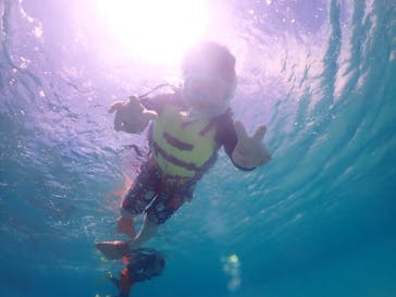 元気玉に投稿された画像（2025/5/27）