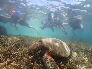 元気玉に投稿された画像（2025/5/27）