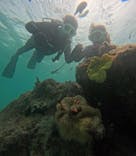 青の洞窟専門店　沖縄ダイビングショップ和に投稿された画像（2025/5/29）