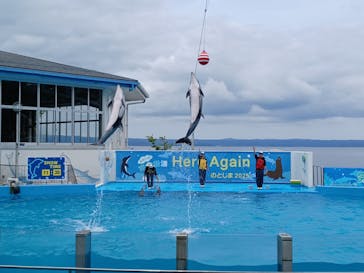 のとじま水族館に投稿された画像（2025/5/28）