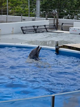 九十九島パールシーリゾートに投稿された画像（2025/5/28）