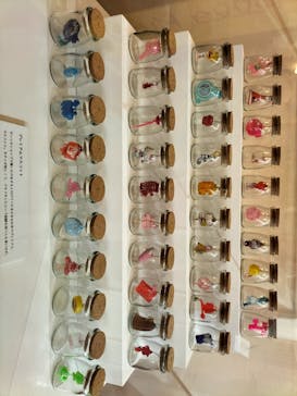 Hello Kitty展 わたしが変わるとキティも変わるに投稿された画像（2024/12/2）