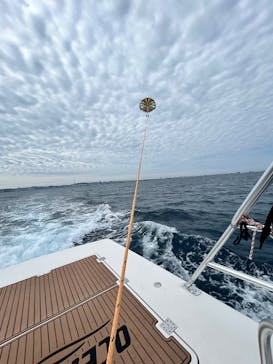 CoCoMarin（ココマリン）に投稿された画像（2025/5/29）