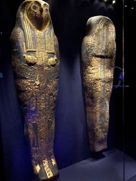 ACN ラムセス大王展 ファラオたちの黄金に投稿された画像（2025/5/29）