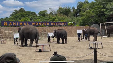ANIMAL WONDER REZOURT 市原ぞうの国・サユリワールドに投稿された画像（2025/5/29）