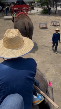 ANIMAL WONDER REZOURT 市原ぞうの国・サユリワールドに投稿された画像（2025/5/29）