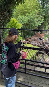 ANIMAL WONDER REZOURT 市原ぞうの国・サユリワールドに投稿された画像（2025/5/29）