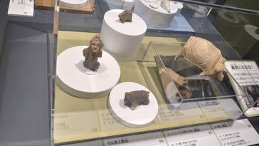 特別展「古代DNA－日本人のきた道」（国立科学博物館）に投稿された画像（2025/5/29）
