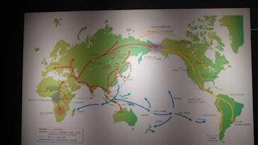 特別展「古代DNA－日本人のきた道」（国立科学博物館）に投稿された画像（2025/5/29）