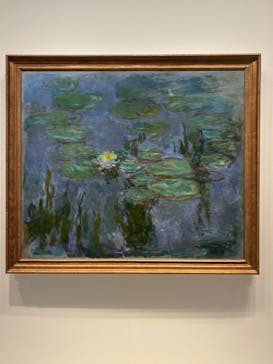 モネ　睡蓮のときに投稿された画像（2025/5/29）