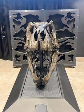 福井県立恐竜博物館に投稿された画像（2025/5/29）