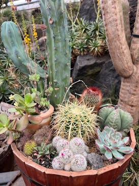 伊豆シャボテン動物公園に投稿された画像（2025/5/29）