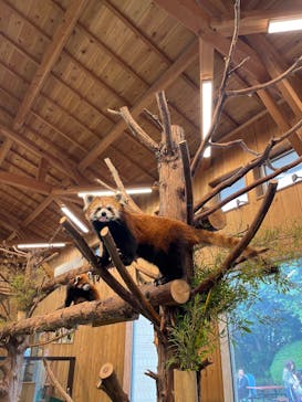 伊豆シャボテン動物公園に投稿された画像（2025/5/29）