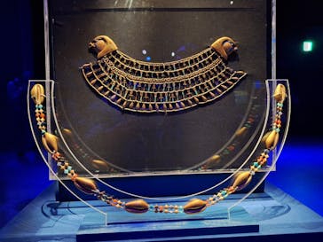 ACN ラムセス大王展 ファラオたちの黄金に投稿された画像（2025/5/29）