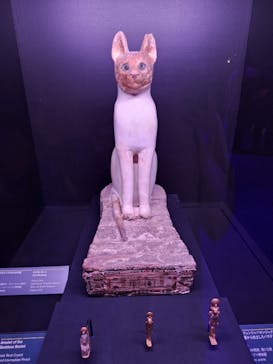 ACN ラムセス大王展 ファラオたちの黄金に投稿された画像（2025/5/29）