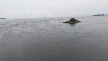 徳島県立 渦の道に投稿された画像（2025/5/29）