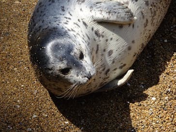 伊豆・三津シーパラダイスに投稿された画像（2025/4/21）
